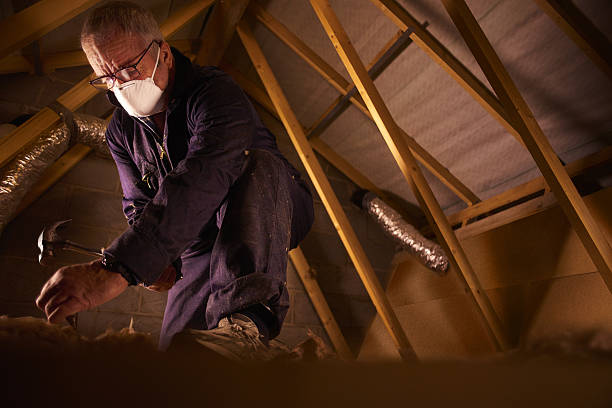 Best Insulation Maintenance and Repair in Petersburg, MI